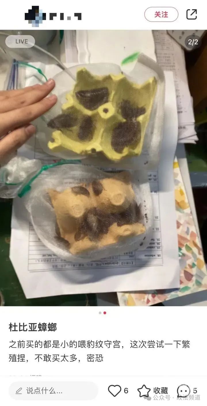DƬ